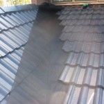 Leafshield Gutter Protection