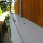 Leafshield Gutter Protection