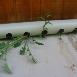 Leafshield Gutter Protection