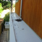 Leafshield Gutter Protection