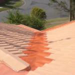 Leafshield Roof Image2