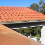Leaf Shield Painted Fineleaf On Swiss Tile