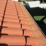 Painted to Match Roof Colour Fineleaf Mesh